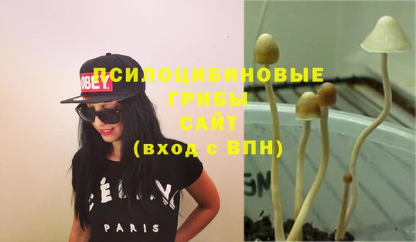 кокаин VHQ Горнозаводск