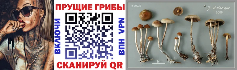 Псилоцибиновые грибы Magic Shrooms  где можно купить наркотик  Набережные Челны 